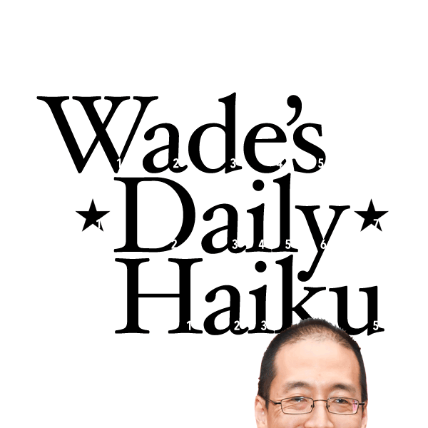 Wade's Daily Haiku
